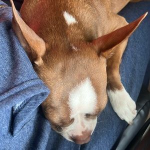 Galaxy, Nerd Fashion, Nerd-Chic, Athletic, 🌌💜🌙